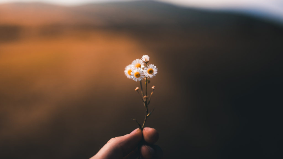 kukkakimpu kädessä