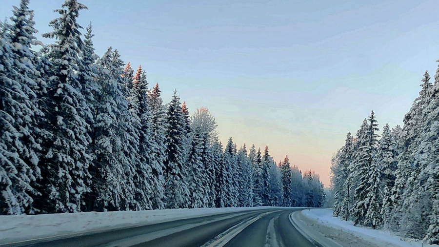 Talvinen metsämaisema