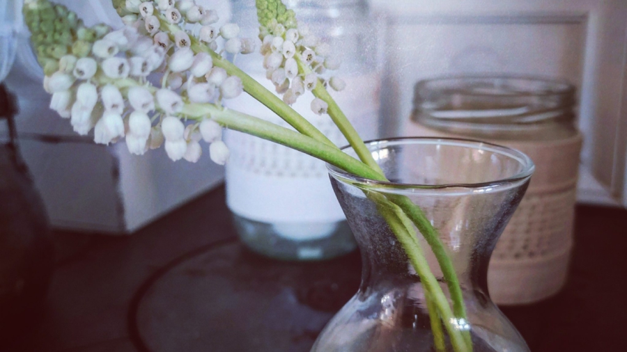 Valkoinen kukka maljakossa