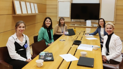 Eduskunnan parisuhdeverkosto